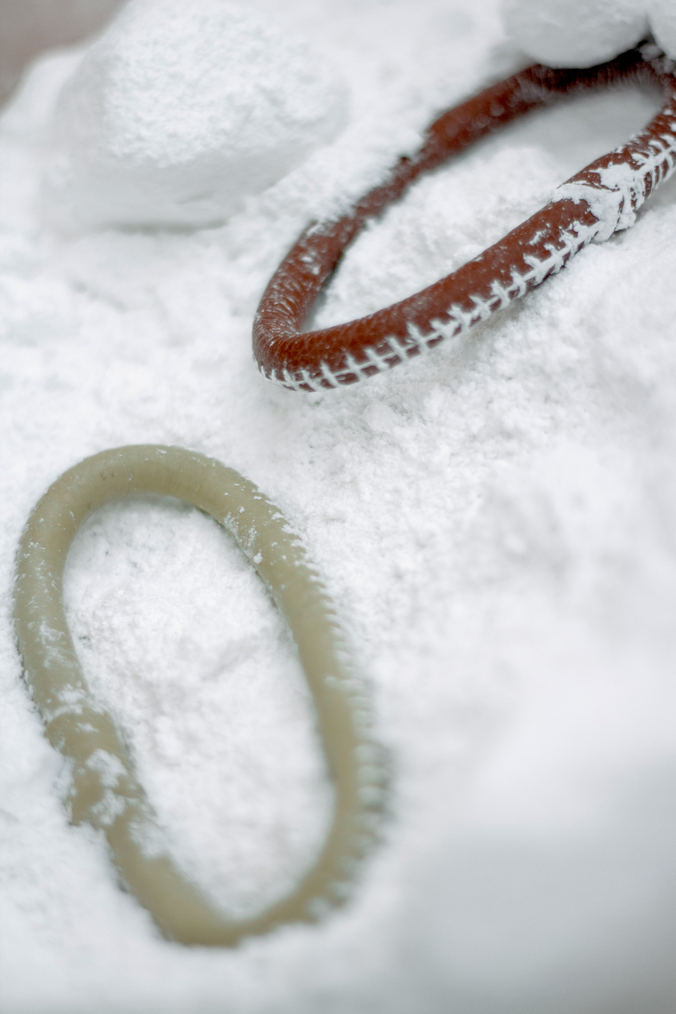 Katharina Reichvilser jetzt Katharina Sellin