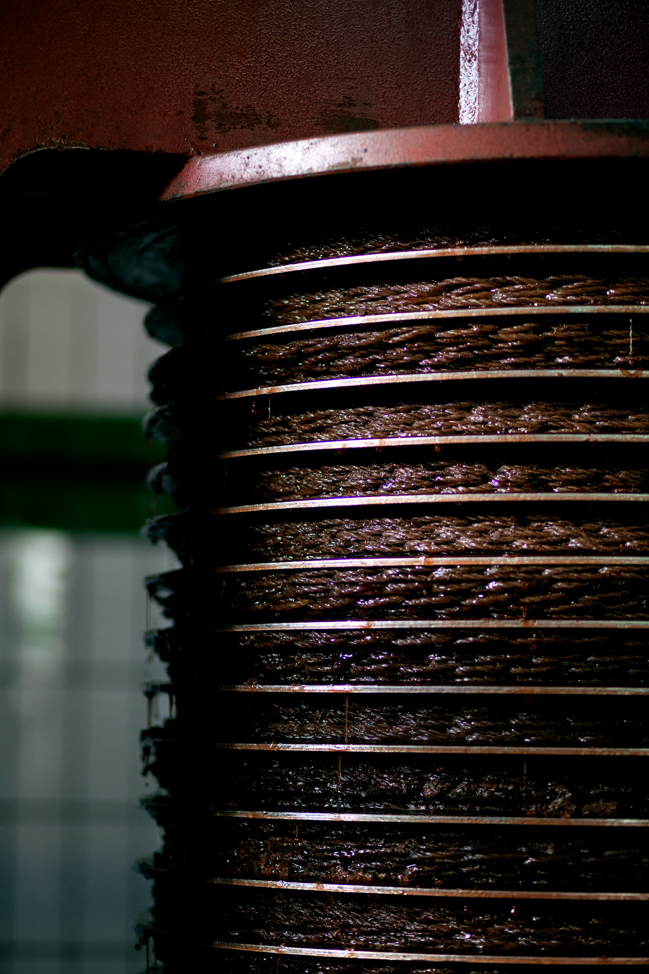 Katharina Reichvilser jetzt Katharina Sellin