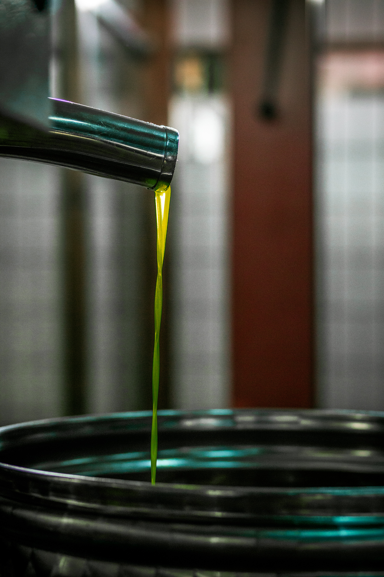 Katharina Reichvilser jetzt Katharina Sellin