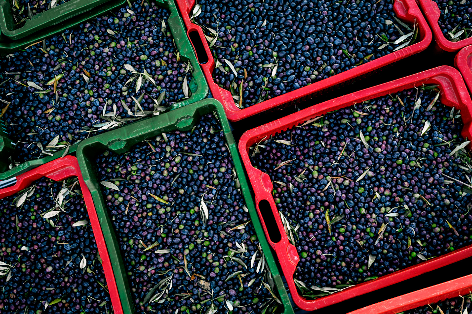 Katharina Reichvilser jetzt Katharina Sellin