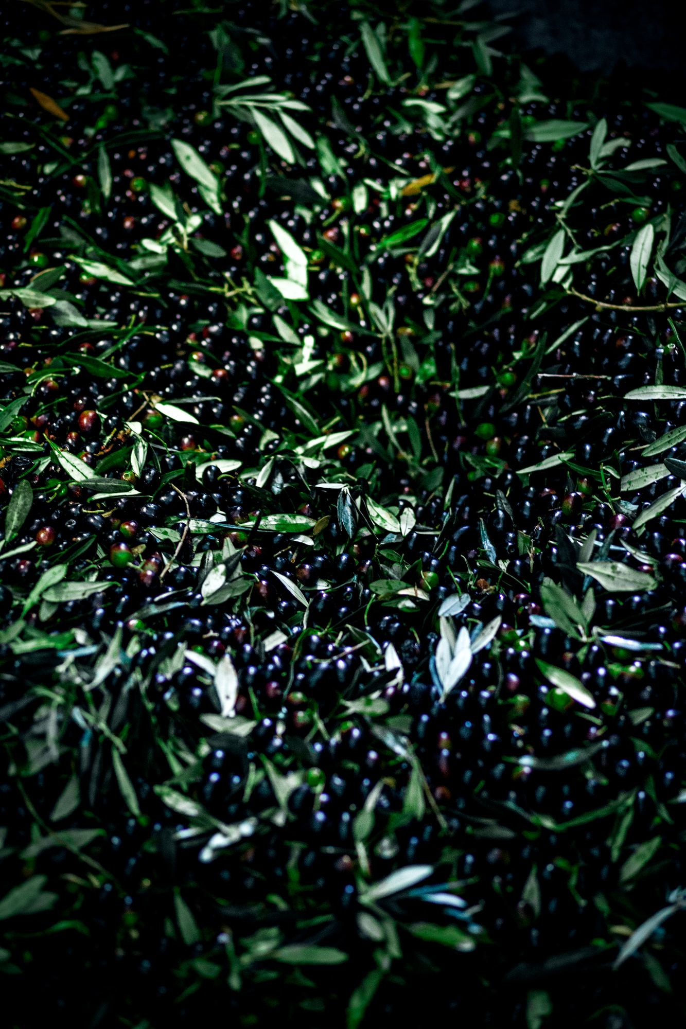 Katharina Reichvilser jetzt Katharina Sellin