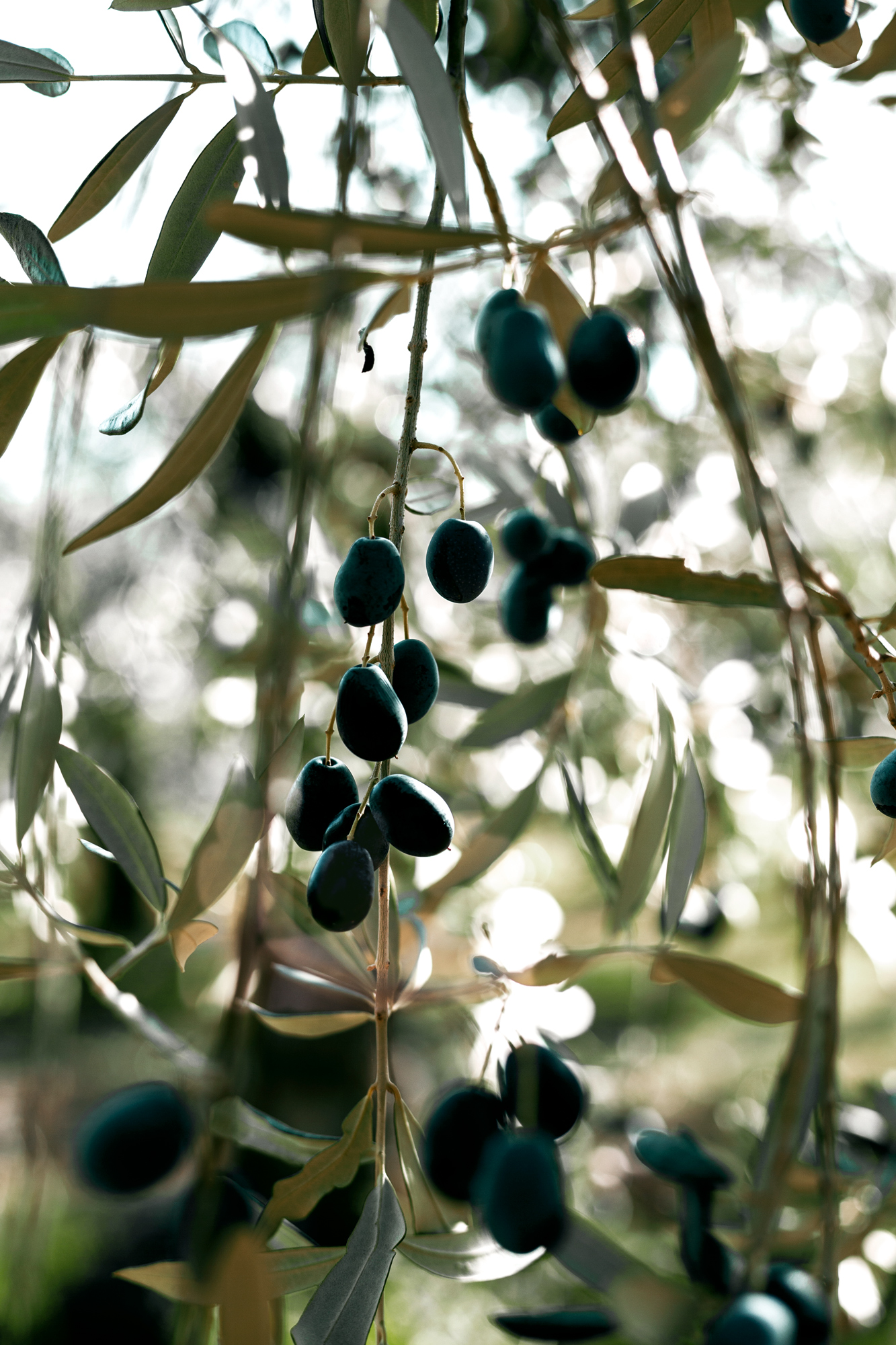 Katharina Reichvilser jetzt Katharina Sellin