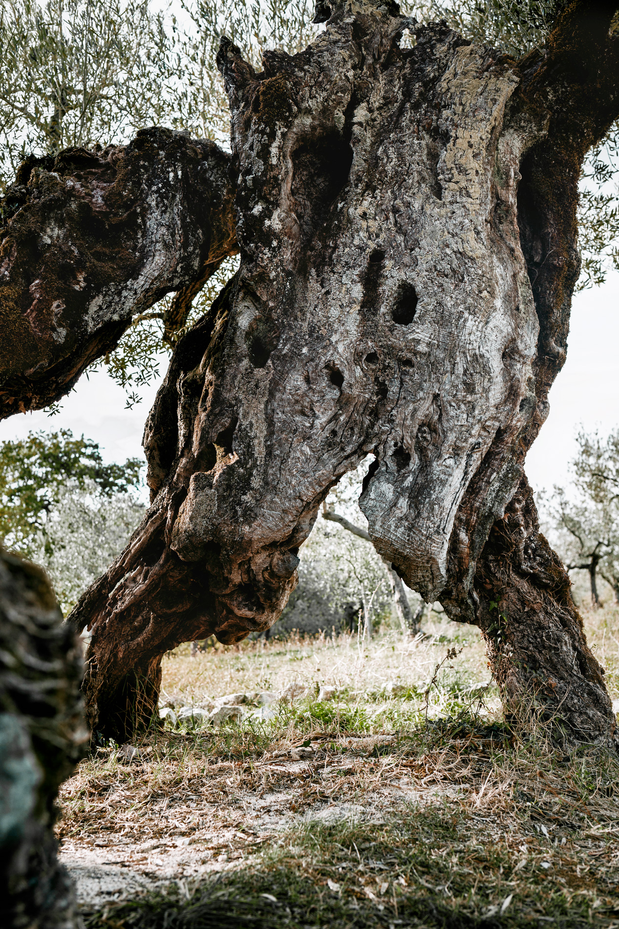 Katharina Reichvilser jetzt Katharina Sellin