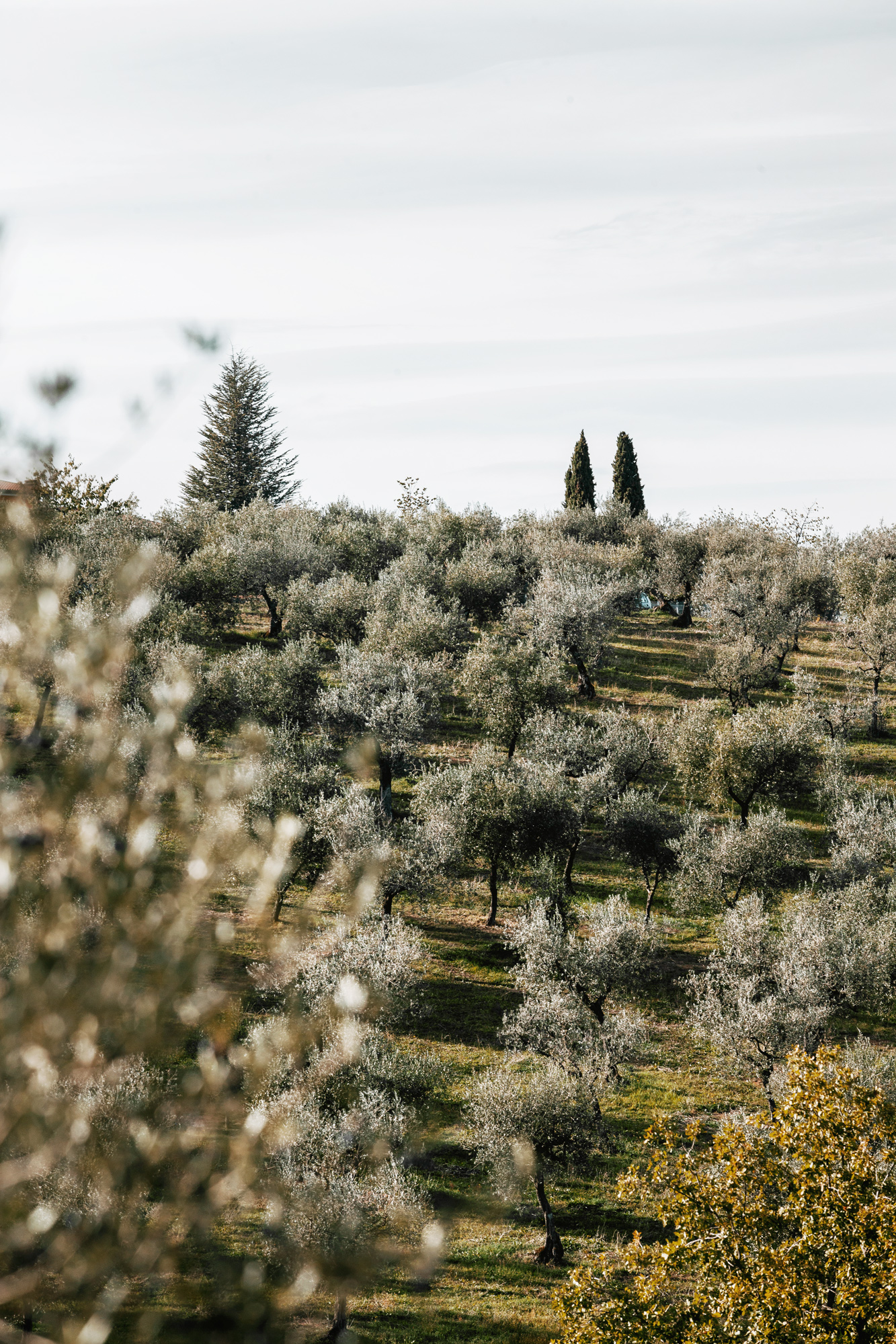 Katharina Reichvilser jetzt Katharina Sellin