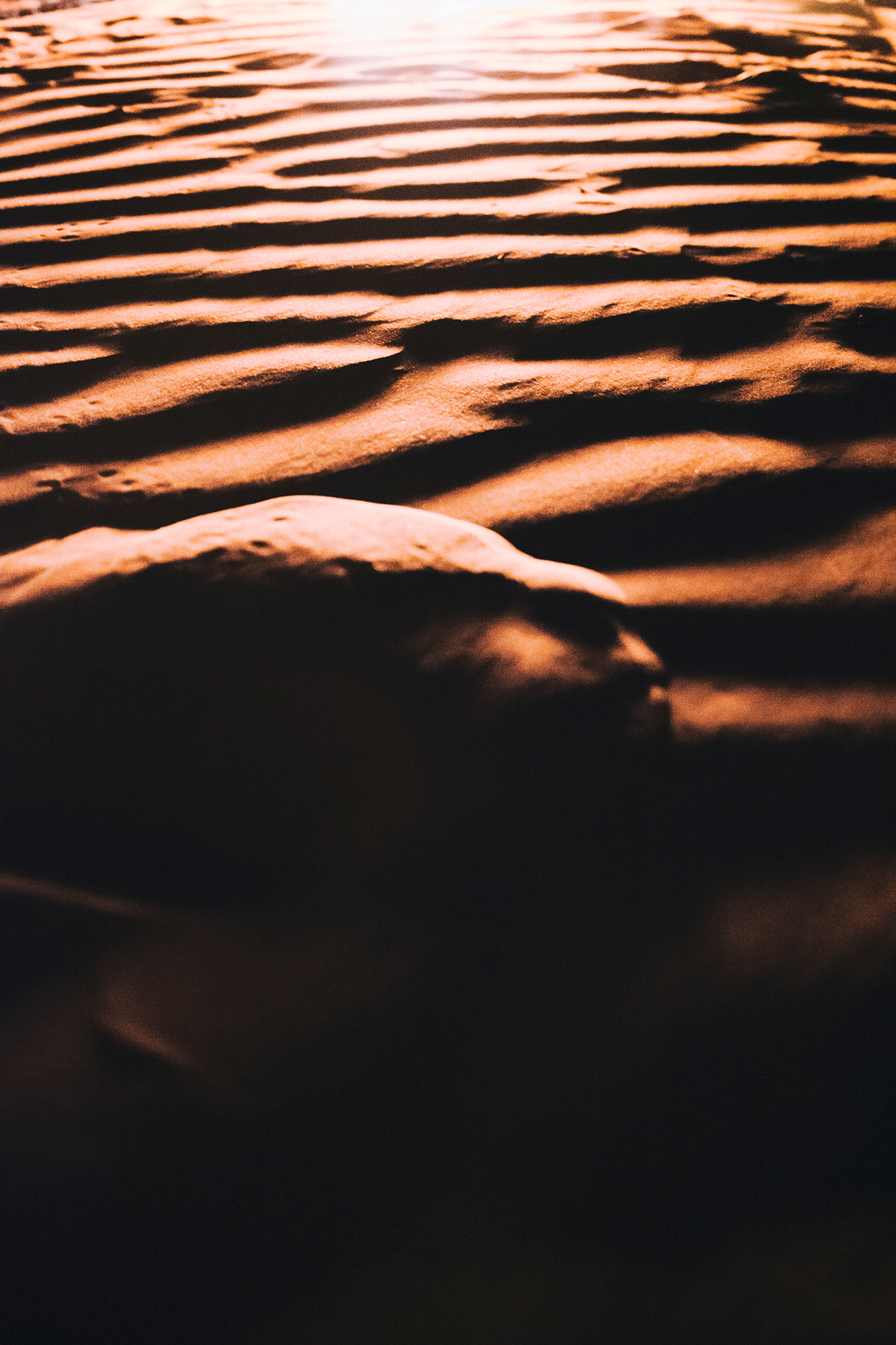 Katharina Reichvilser jetzt Katharina Sellin