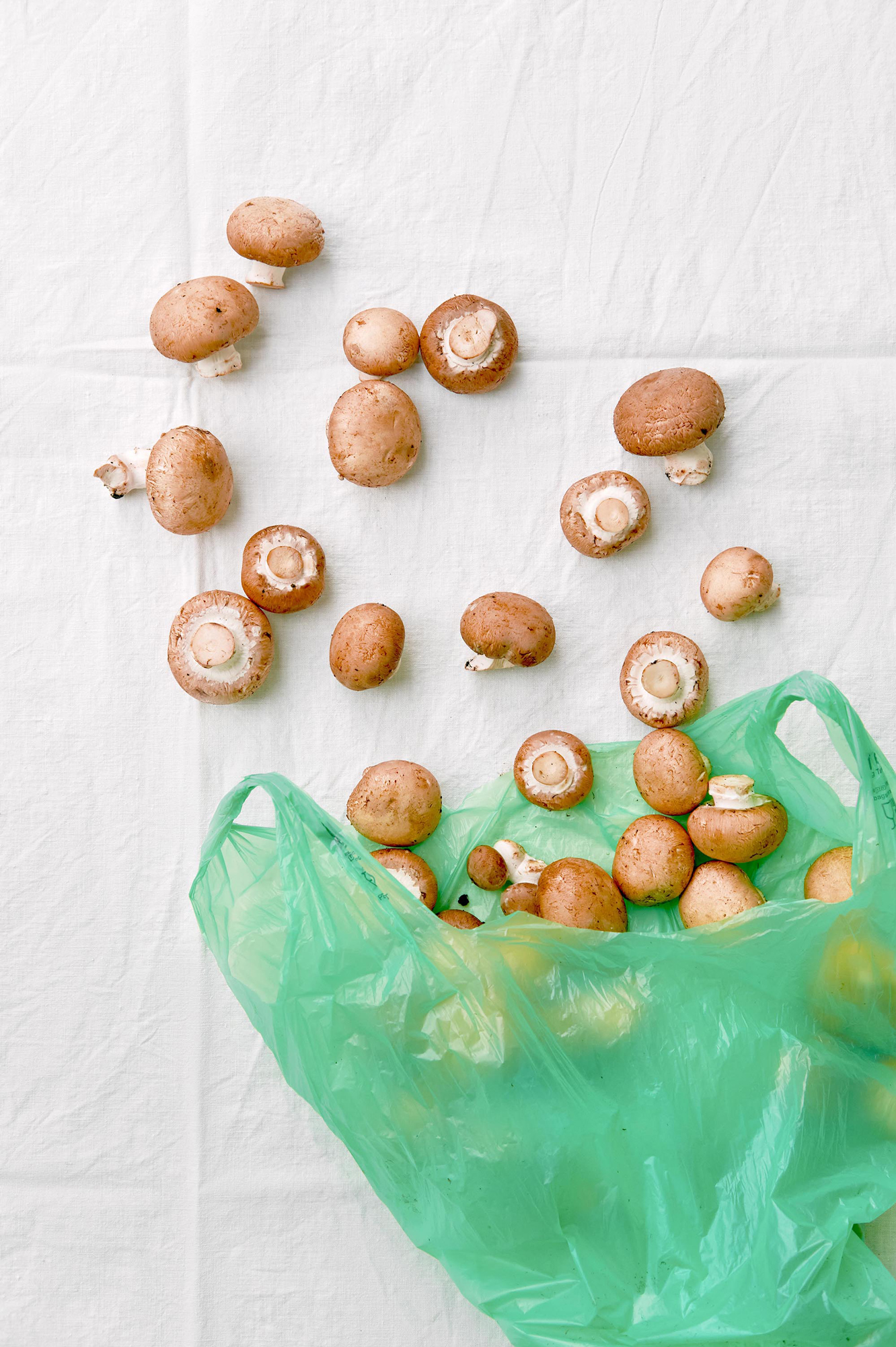 Katharina Reichvilser jetzt Katharina Sellin