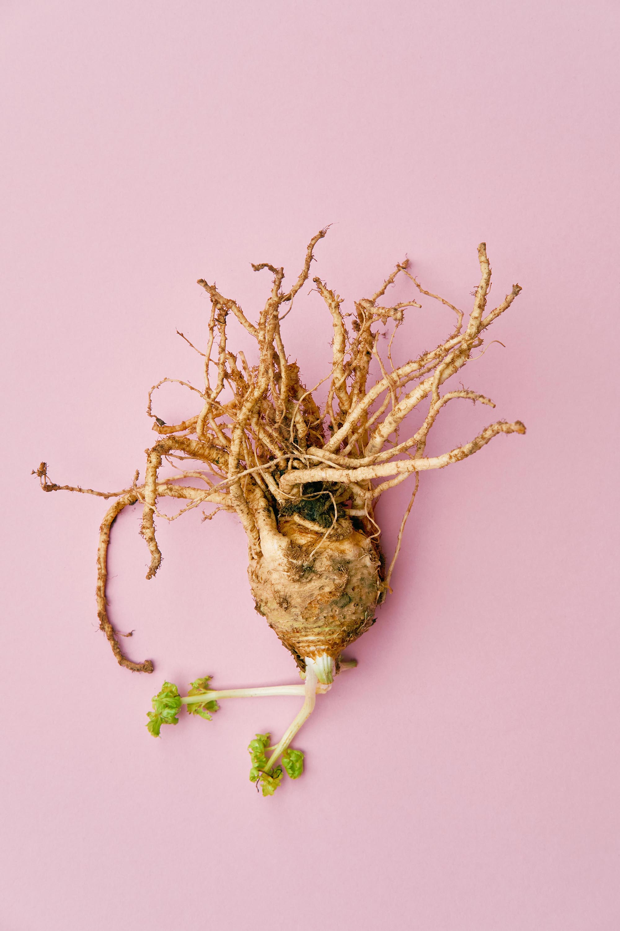 Katharina Reichvilser jetzt Katharina Sellin