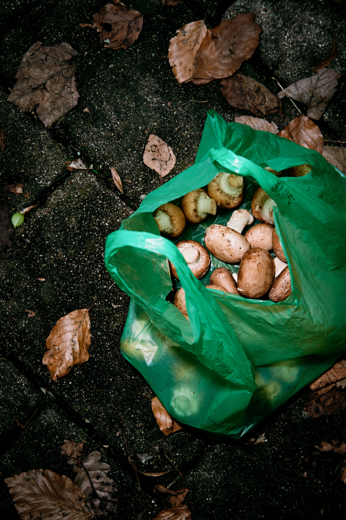 Katharina Reichvilser jetzt Katharina Sellin