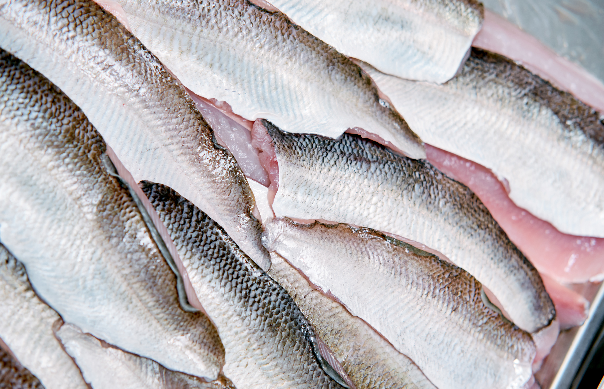 Katharina Reichvilser jetzt Katharina Sellin