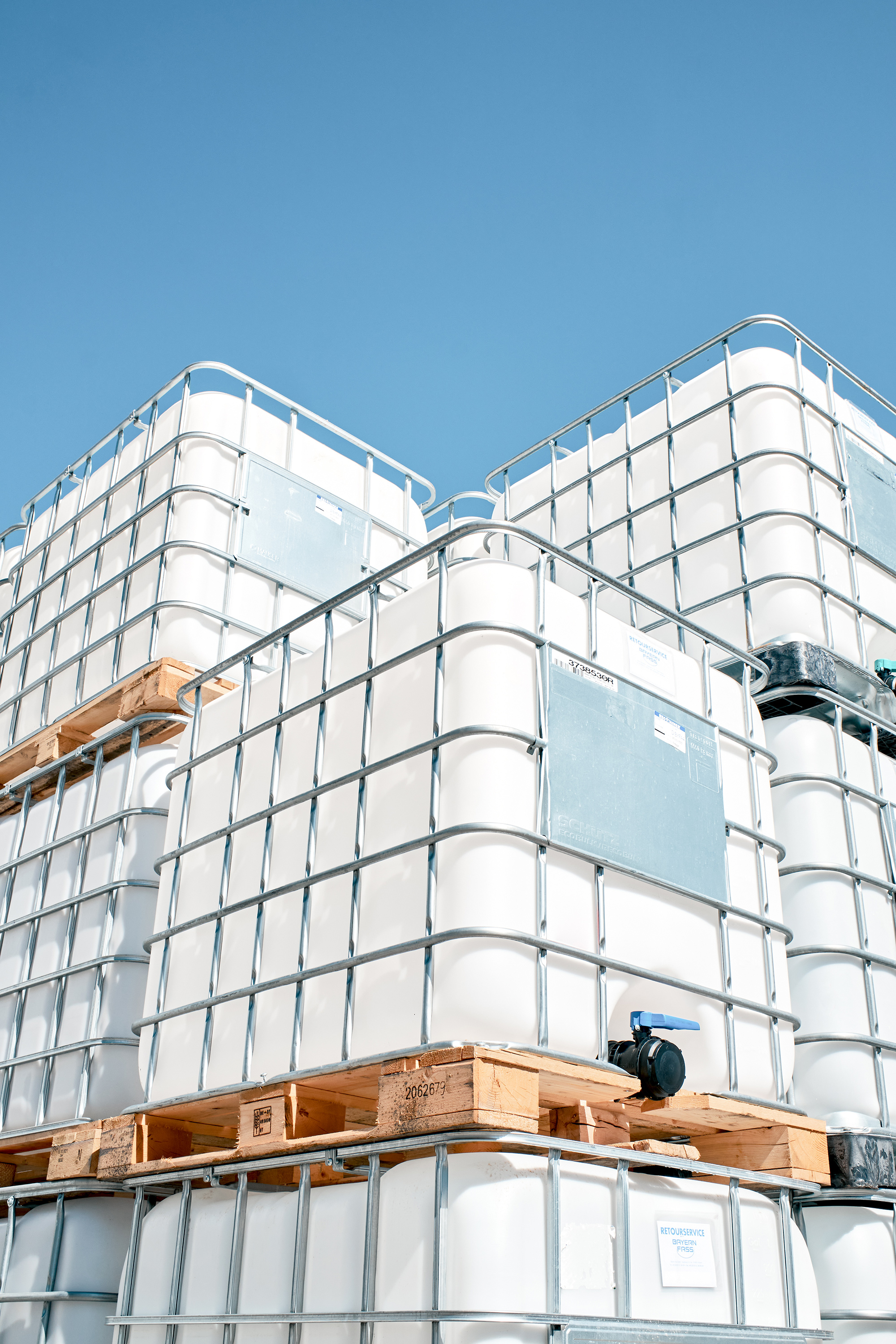 Katharina Reichvilser jetzt Katharina Sellin