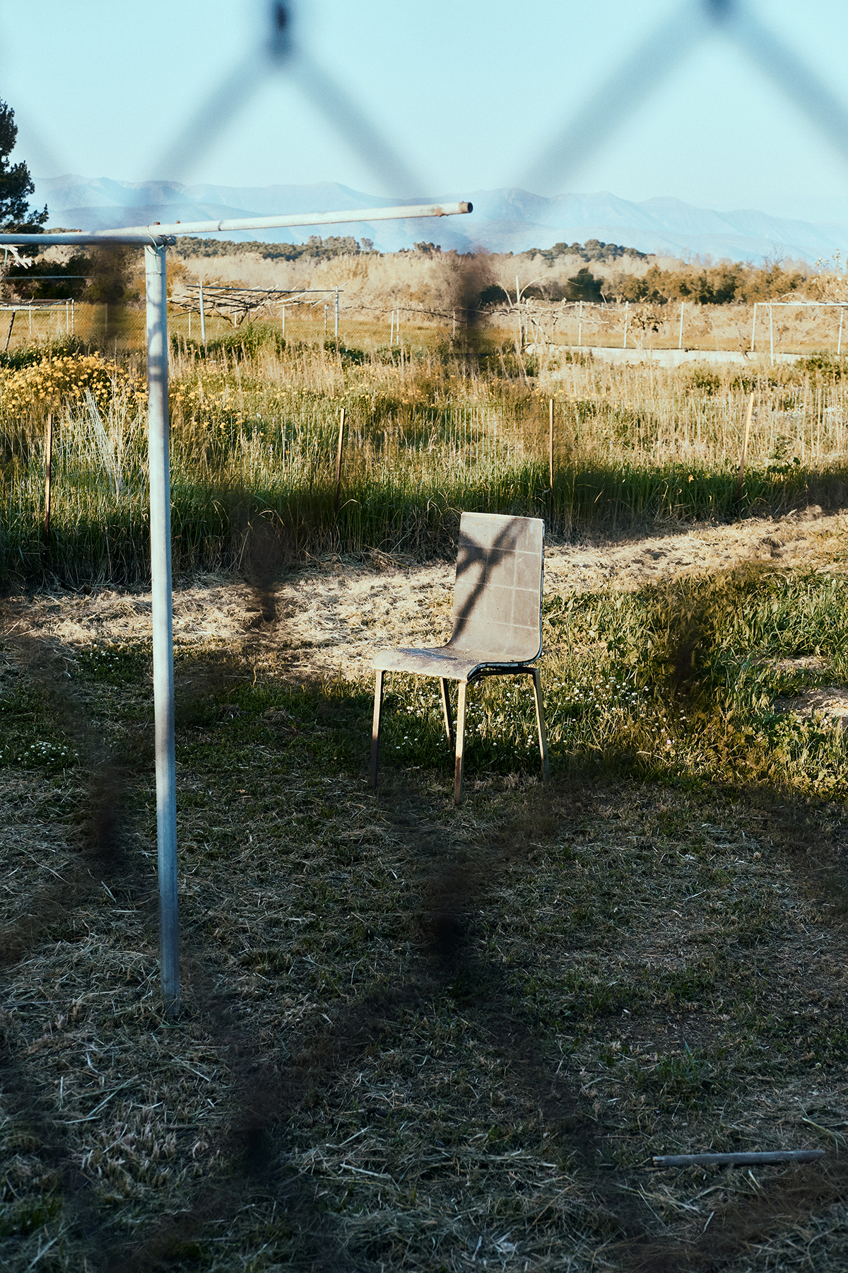 Katharina Reichvilser jetzt Katharina Sellin