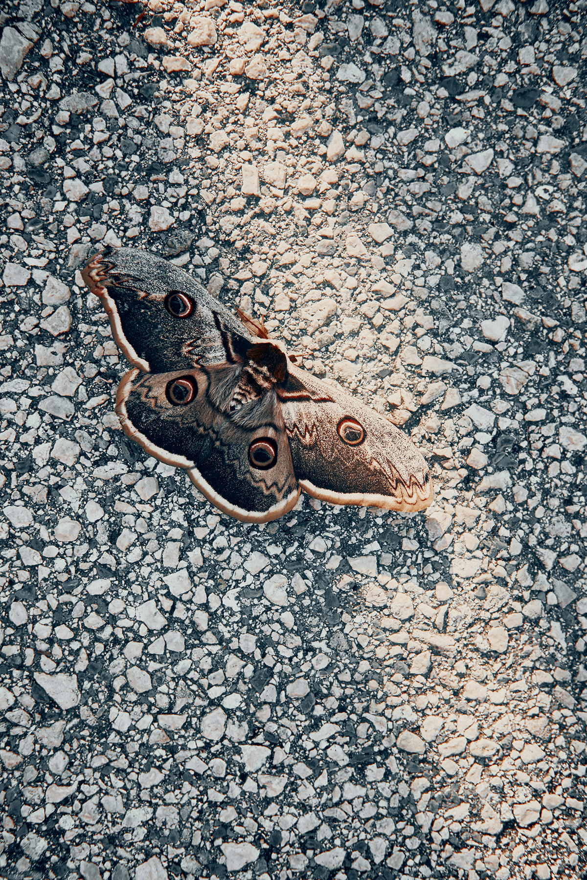 Katharina Reichvilser jetzt Katharina Sellin